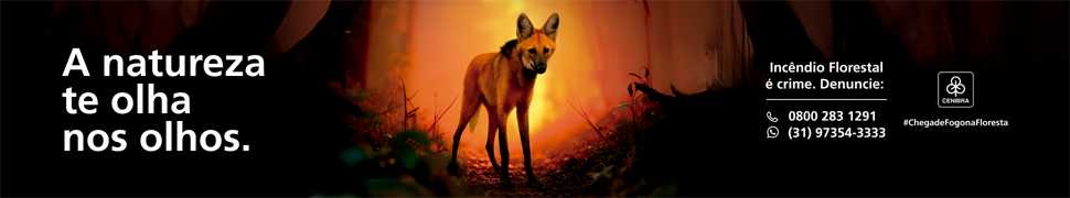 spot_img